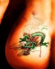 pic for Dragon tatoo